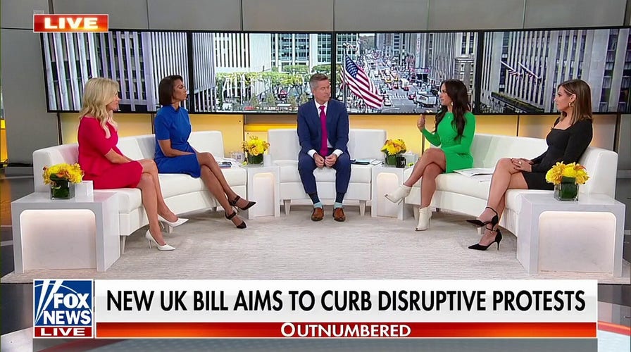 Kayleigh McEnany roasts climate activists: 'Do these people have jobs?'