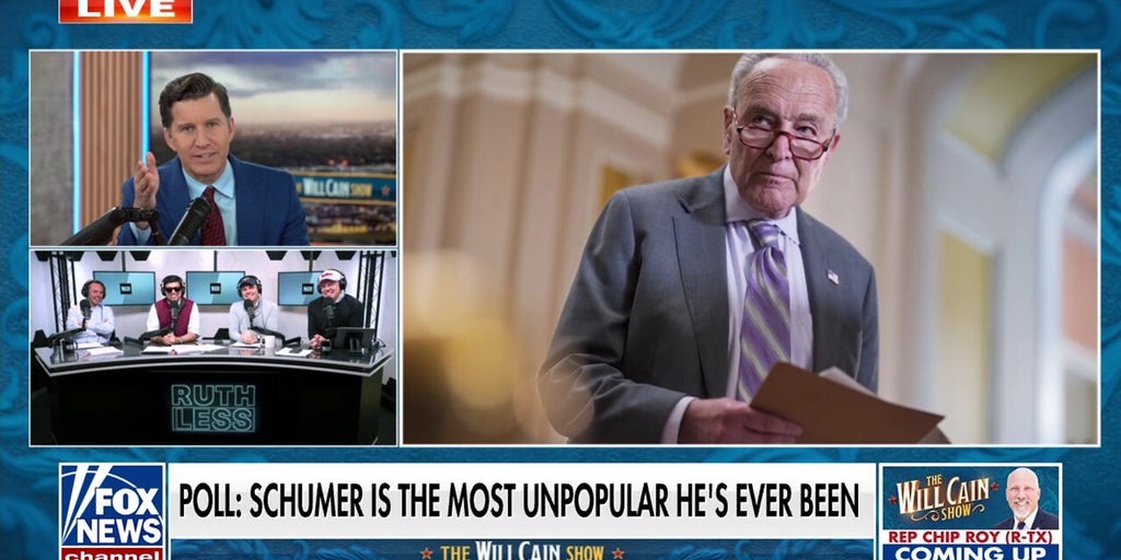 Schumer doesn't know how to 'guide' the Democratic Party: 'Ruthless Podcast' co-host