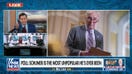 Schumer doesn't know how to 'guide' the Democratic Party: 'Ruthless Podcast' co-host