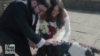 Dog becomes first professional camera canine