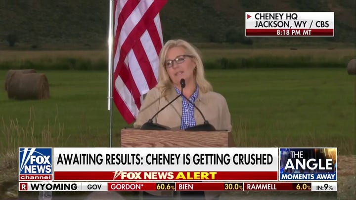 Liz Cheney concedes primary