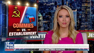McEnany: Bernie's prodigies are taking over the Democratic Party and not everyone is happy