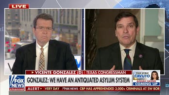  Rep. Vicente Gonzalez: The problem is we have an asylum system that is broken