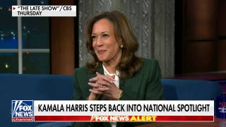 Kamala Harris steps back into the spotlight to sound off on the state of politics