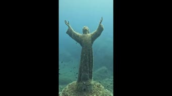 Divers scrub famed Christ of the Abyss statue during annual underwater cleanup