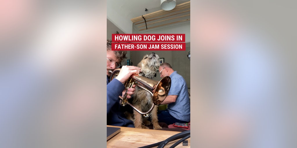 BARKING BEATS: A howling border terrier joined the fun when a father-son duo had an impromptu music jam session