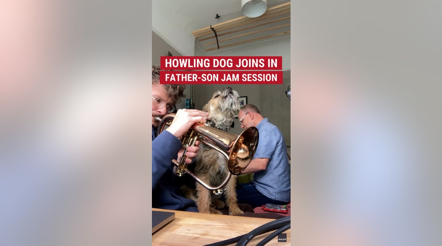 BARKING BEATS: A howling border terrier joined the fun when a father-son duo had an impromptu music jam session