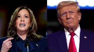 Michigan is 'ground zero' for most important issues in 2024 election: Kaitlyn Buss - Fox News