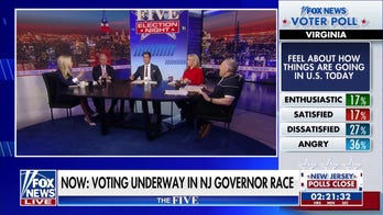 Dana Perino: The ‘plastic bag’ issue is representative of everything else