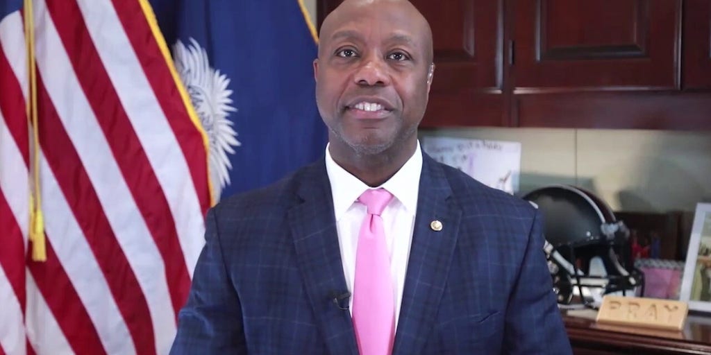 Sen. Tim Scott details first 100 days as Senate Banking Committee chairman