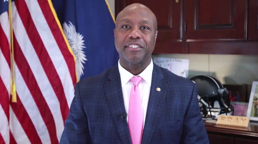 Sen. Tim Scott details first 100 days as Senate Banking Committee chairman