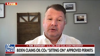 Biden could release natural gas supply '100 times bigger' than strategic reserve: Oil exec