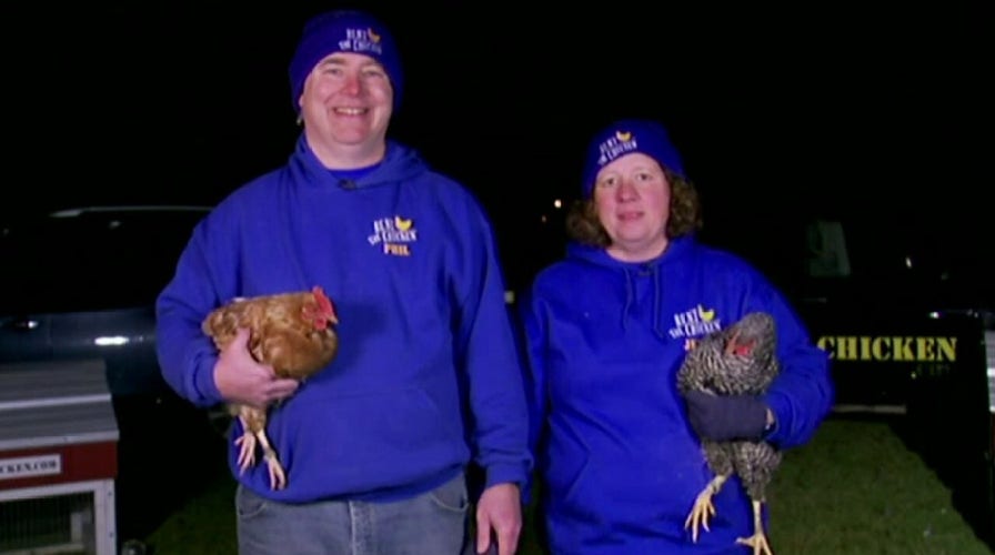 Pennsylvania couple starts 'rent the chicken' business amid egg shortage