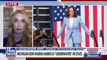 Kaylee McGhee White on Harris reportedly 'underwater' in key swing state: 'Massive problem for her campaign'