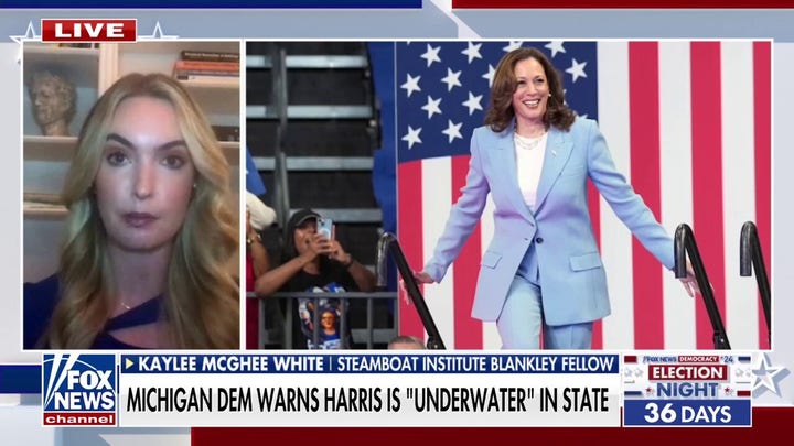 Kaylee McGhee White on Harris reportedly 'underwater' in key swing state: 'Massive problem for her campaign'