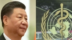 Taiwan set to be iced out of annual WHO assembly after Chinese objections