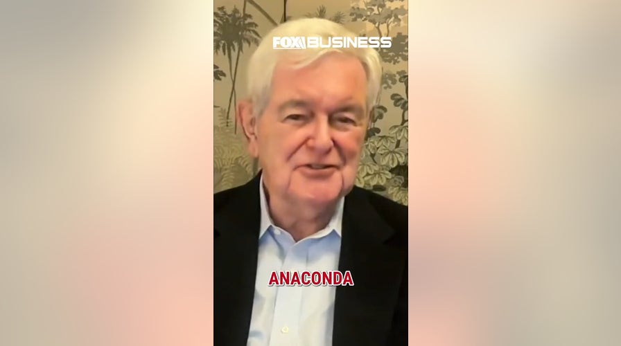 Newt Gingrich likens Iran strategy to Lincoln's 'Anaconda strategy'