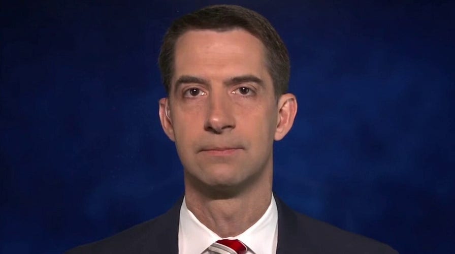 Dems' agenda is Green New Deal, more taxes and 'old-style welfare': Sen. Cotton