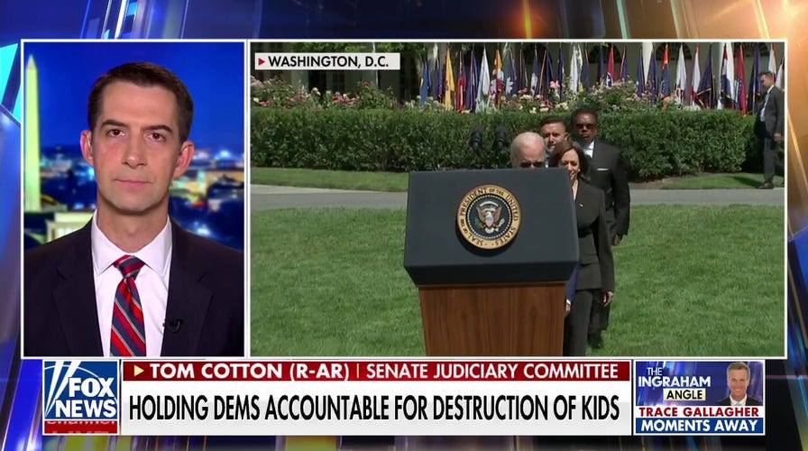 Sen Tom Cotton: Dems don't want to take credit for school lockdowns