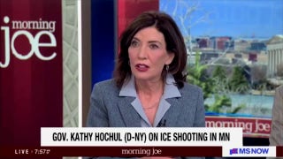Hochul questioned ICE agent about why they wear masks, says they're 'terrorizing people'