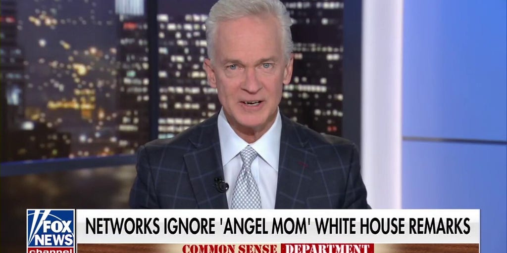 Trace Gallagher: CNN and MSNBC have gotten good at ‘tree in the forest’ journalism