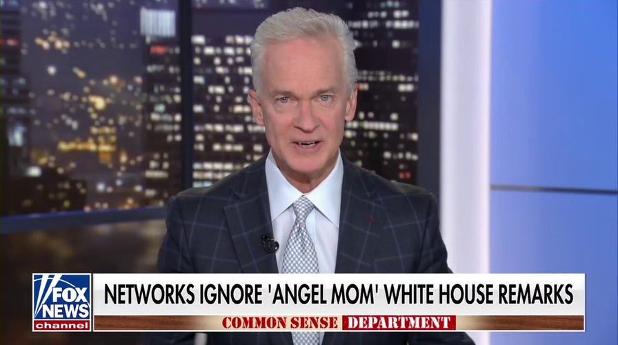 Trace Gallagher: CNN and MSNBC have gotten good at ‘tree in the forest’ journalism