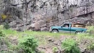 Truck spotted chasing moose in shocking sight - Fox News