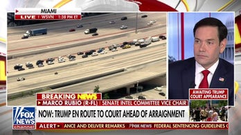 Sen. Marco Rubio: Trump's indictment is 'incredibly damaging' to America