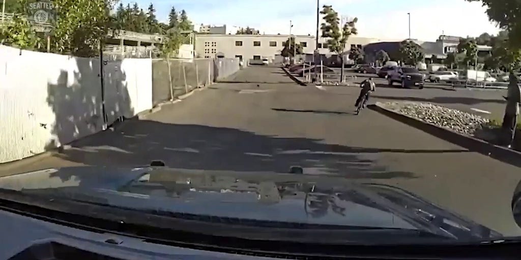 Unprovoked broad daylight Seattle stabbing caught on video