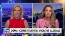 Democrats’ ‘demonization’ of ICE causing more danger for agents, says DHS official