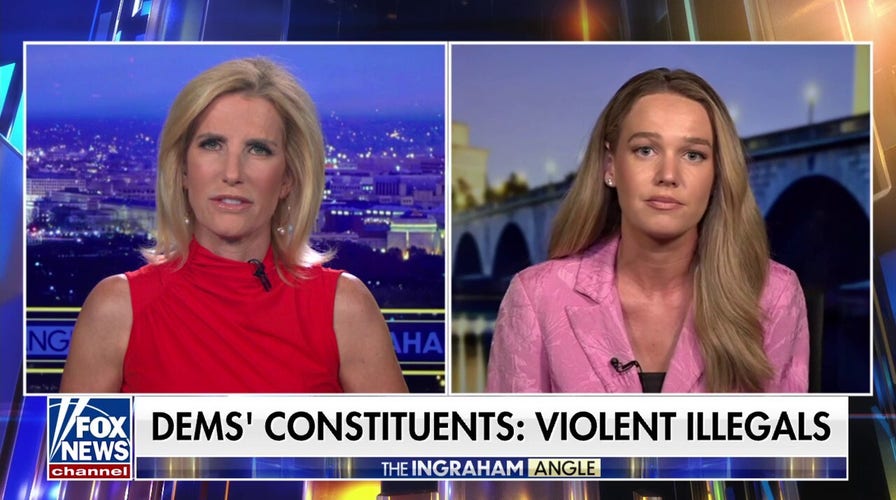 Democrats’ ‘demonization’ of ICE causing more danger for agents, says DHS official