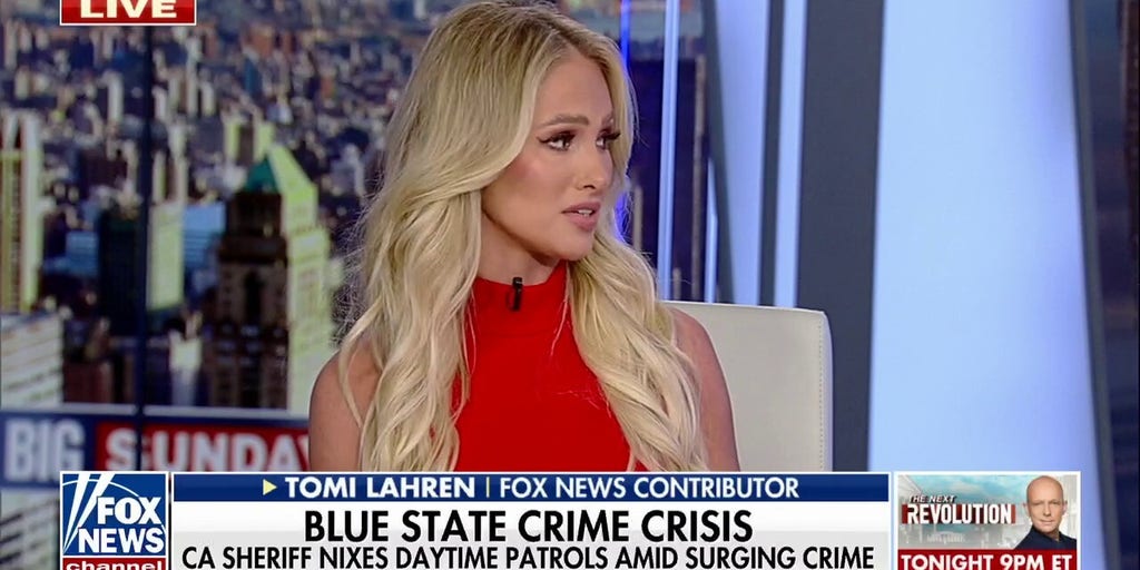tomi-lahren-we-need-to-get-rid-of-activist-das-fox-news-video