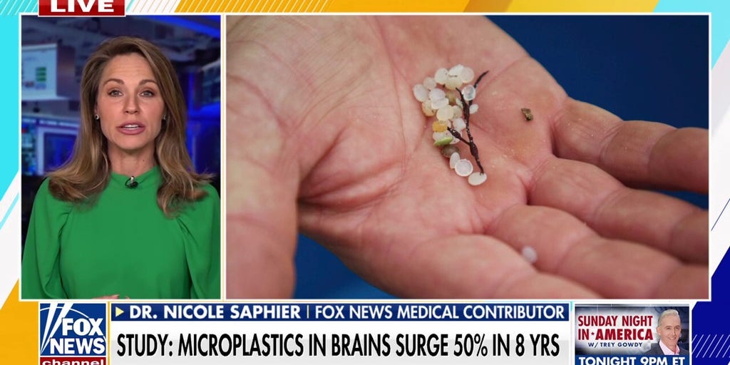 https://a57.foxnews.com/cf-images.us-east-1.prod.boltdns.net/v1/static/694940094001/ac23fca7-5176-4cf7-83e9-6be43846fdda/41de593f-44f0-4875-8654-498c5b23aead/1280x720/match/1024/512/image.jpg?pubId=854081161001?ve=1&tl=1