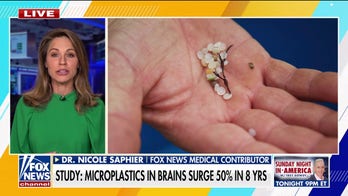 Surge in brain microplastics found in new study 