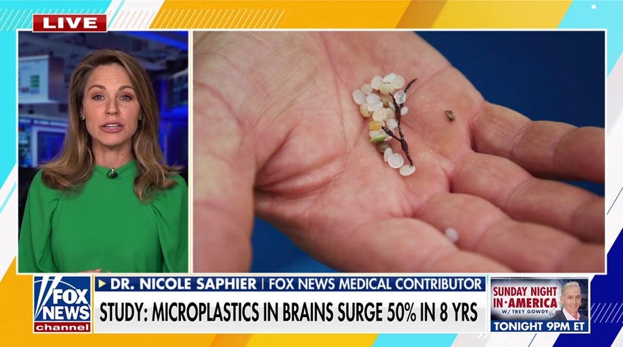 Surge in brain microplastics found in new study 