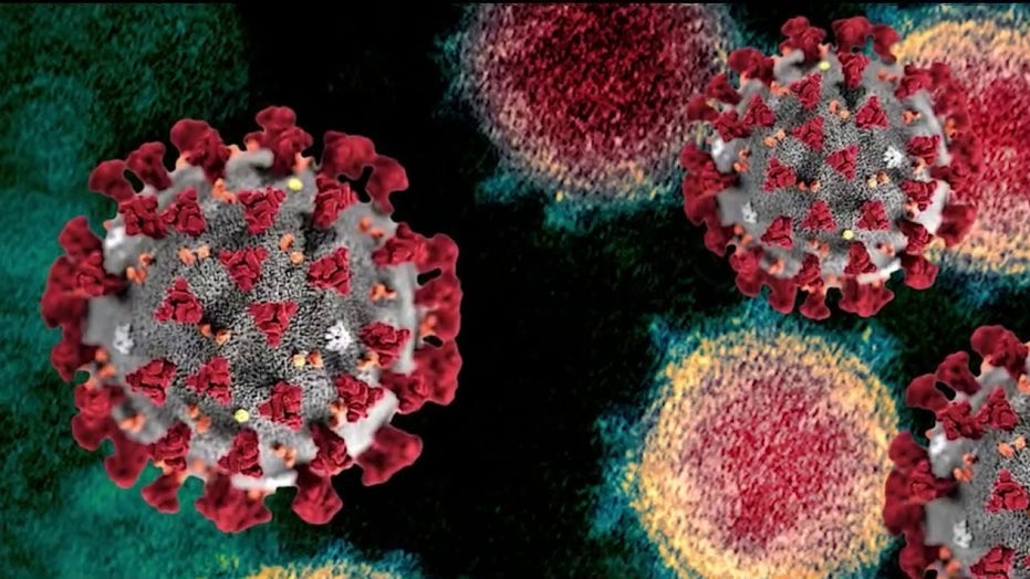 Coronavirus cases surging across southern and western US