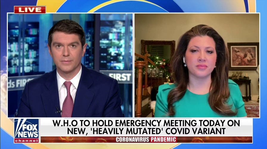 WHO holds emergency meeting on ‘heavily mutated’ COVID1-9 variant discovered in South Africa