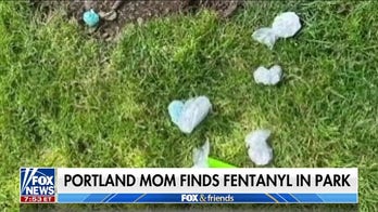 Portland residents outraged after bags of fentanyl found in popular city park: 'No playground is safe'