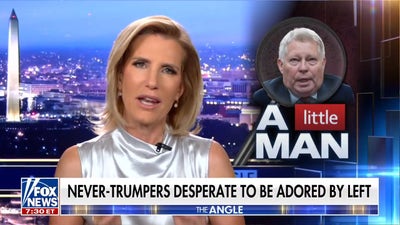 Laura: There is nothing the elites love more than this