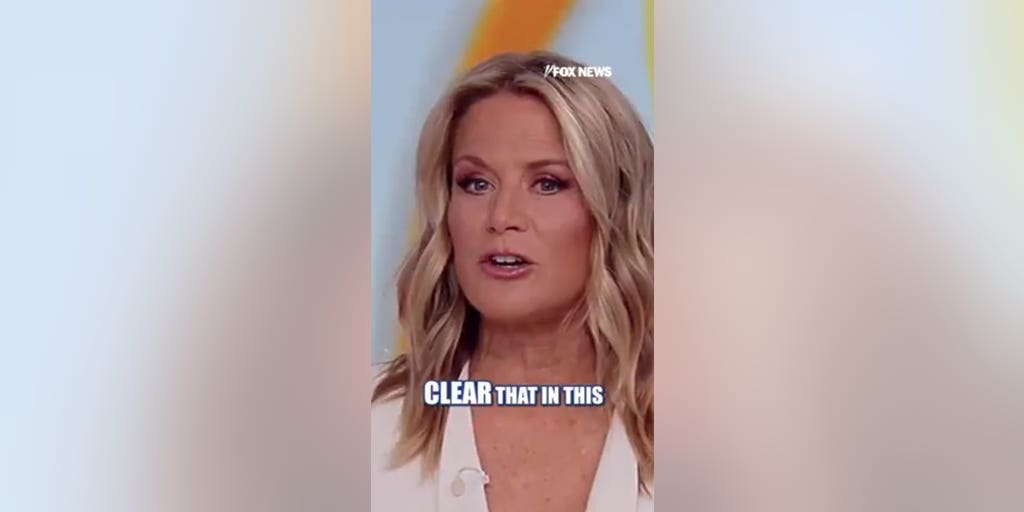 You need to do an accountability check on these agencies: Martha MacCallum