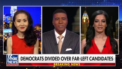 DNC is in ‘shambles’ amid rise of socialism: Former DNC fundraiser