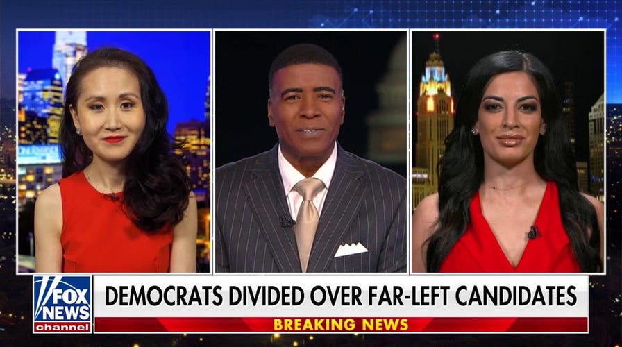 DNC is in ‘shambles’ amid rise of socialism: Former DNC fundraiser