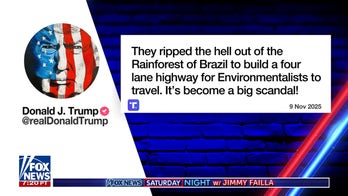 Outrage as 100,000 trees cleared in Amazon Rainforest for climate summit