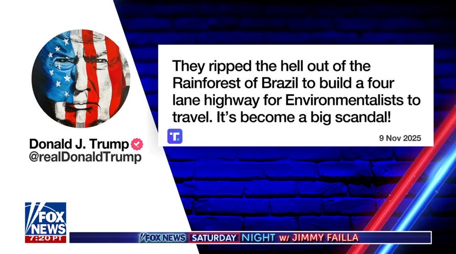 Outrage arsenic  100,000 trees cleared successful  Amazon Rainforest for clime  summit