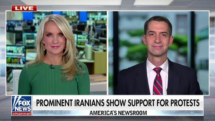 Cotton: Anonymous tip line ‘flooded’ with calls about woke ideology in military