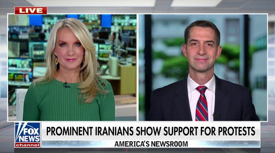 Cotton: Anonymous tip line ‘flooded’ with calls about woke ideology in military