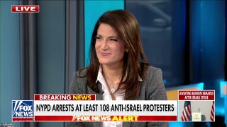 Hatred for Israel is a hatred for America and the West, journalist argues - Fox News