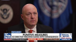 'Operation Athens': Acting ICE director reveals efforts to tackle Tren de Aragua - Fox News