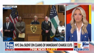 NYC DAs accused of downgrading charges to protect illegal immigrants