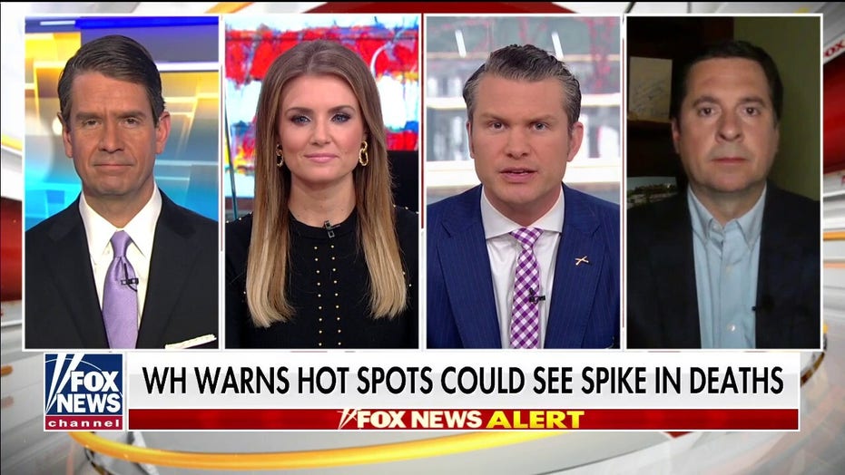 Rep. Devin Nunes on Trump considering 2nd task force to reopen economy